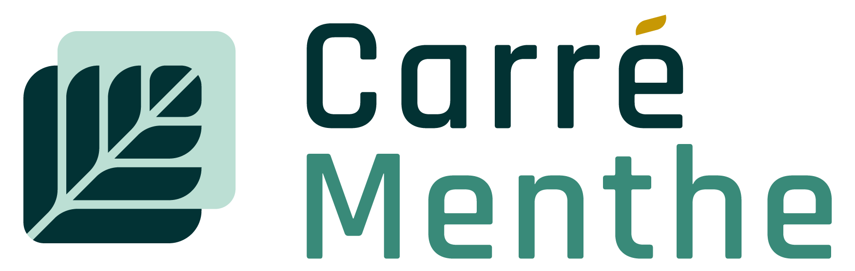 Logo Carre Menthe - expert en confort thermique et énergies dans les Landes et le pays basque